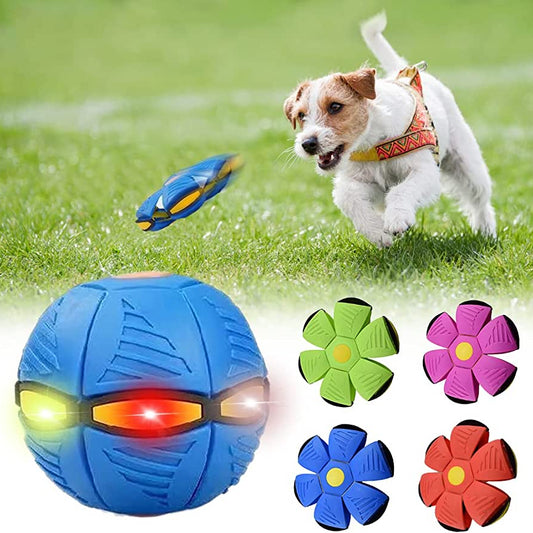 Dog playing with a blue ball and flower-shaped toys on grass