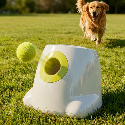 Golden retriever running to fetch a tennis ball launched by automatic ball launcher on grass — self-play dog fetch toy