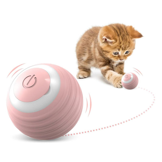 Pink electronic ball with a power button next to a kitten on a white background