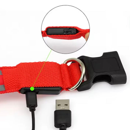 Red LED dog collar showing USB charging port with cable plugged in and close-up inset — rechargeable light-up dog collar