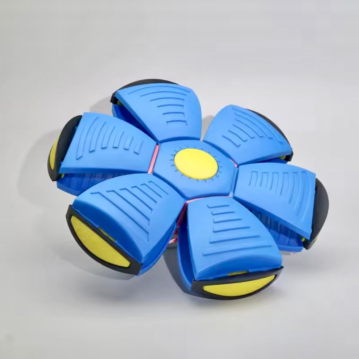 Blue pop-up ball toy in flat disc form on grey background showing petal segments and yellow centre — collapsible fetch toy for dogs