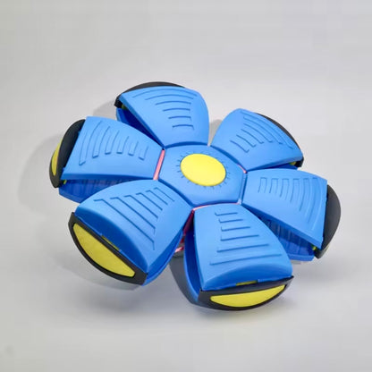 Blue pop-up ball toy in flat disc form on grey background showing petal segments and yellow centre — collapsible fetch toy for dogs