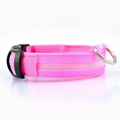 Pink LED dog collar with reflective strip and quick-release buckle — USB rechargeable light-up dog collar