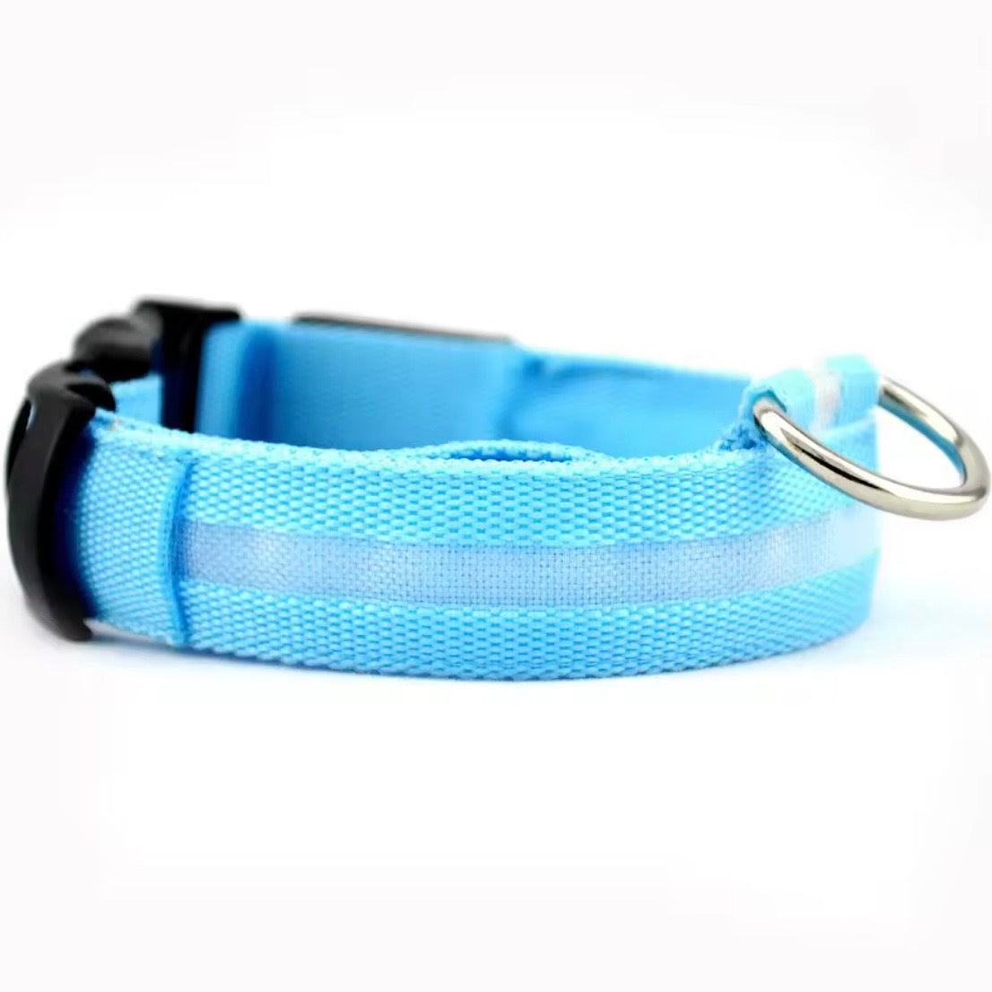 Light blue LED dog collar with reflective strip and quick-release buckle — USB rechargeable light-up dog collar