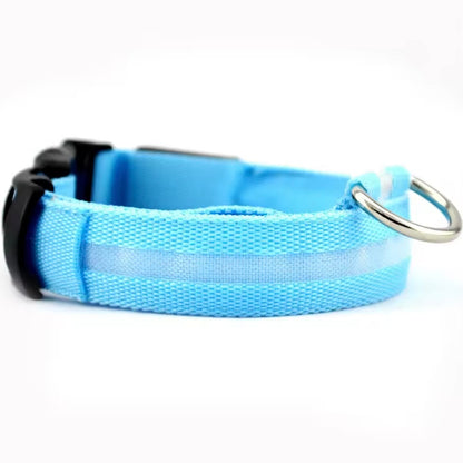 Light blue LED dog collar with reflective strip and quick-release buckle — USB rechargeable light-up dog collar