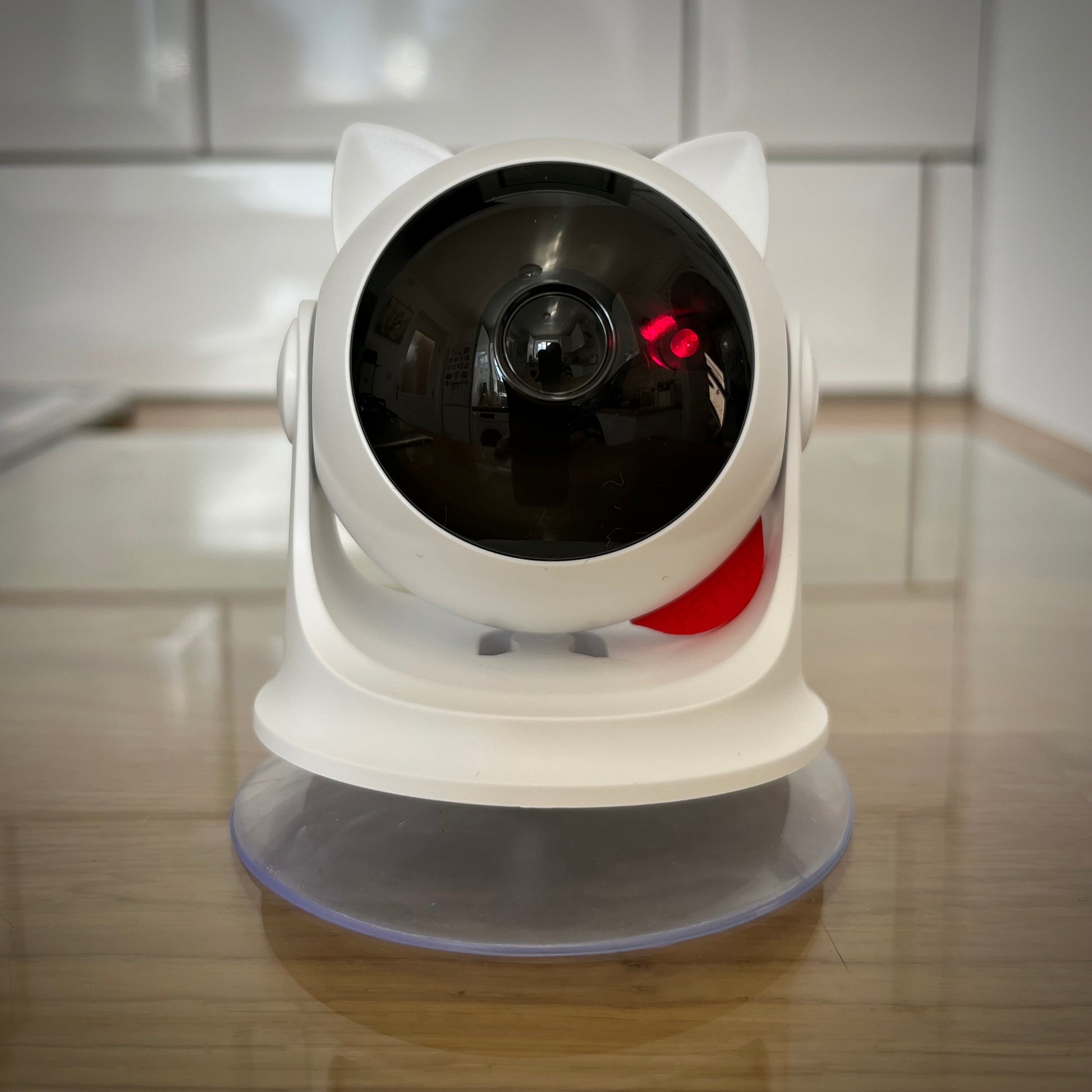 Cat-ear cat laser toy on wooden kitchen counter — automatic interactive laser toy for cats