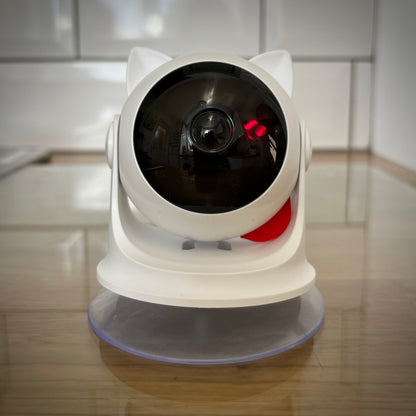 Cat-ear cat laser toy on wooden kitchen counter — automatic interactive laser toy for cats