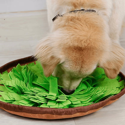 Golden Retriever dog sniffing treats from a green felt snuffle mat — interactive dog enrichment feeding mat from Boop and Scoot