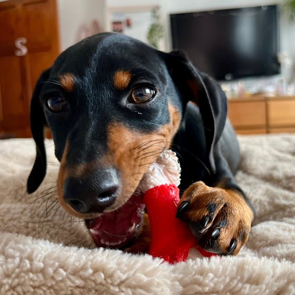 Milo