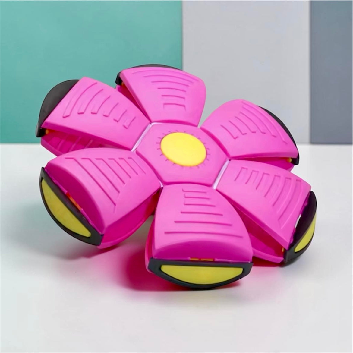Pink pop-up ball toy in flat disc form on a green and grey background showing petal segments and yellow centre — collapsible fetch toy for dogs